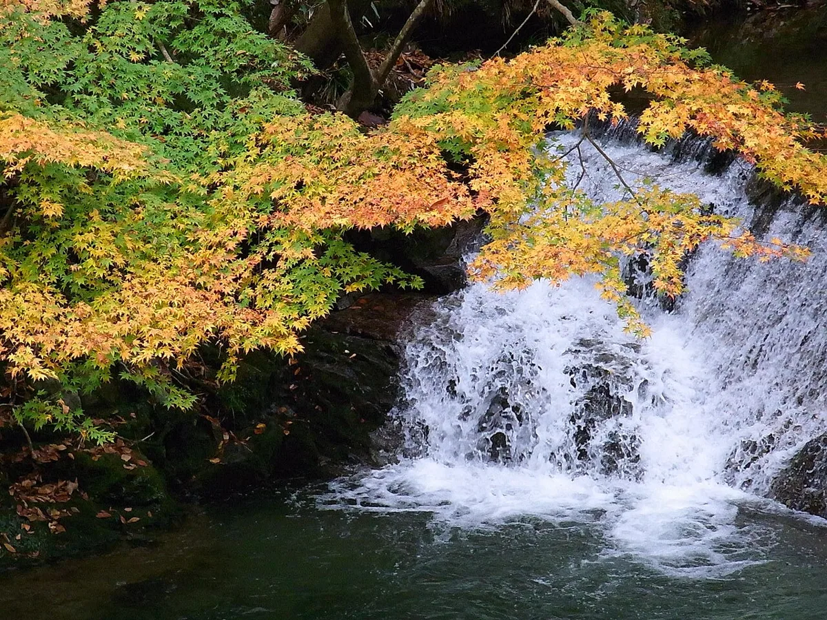 Hananuki Gorge