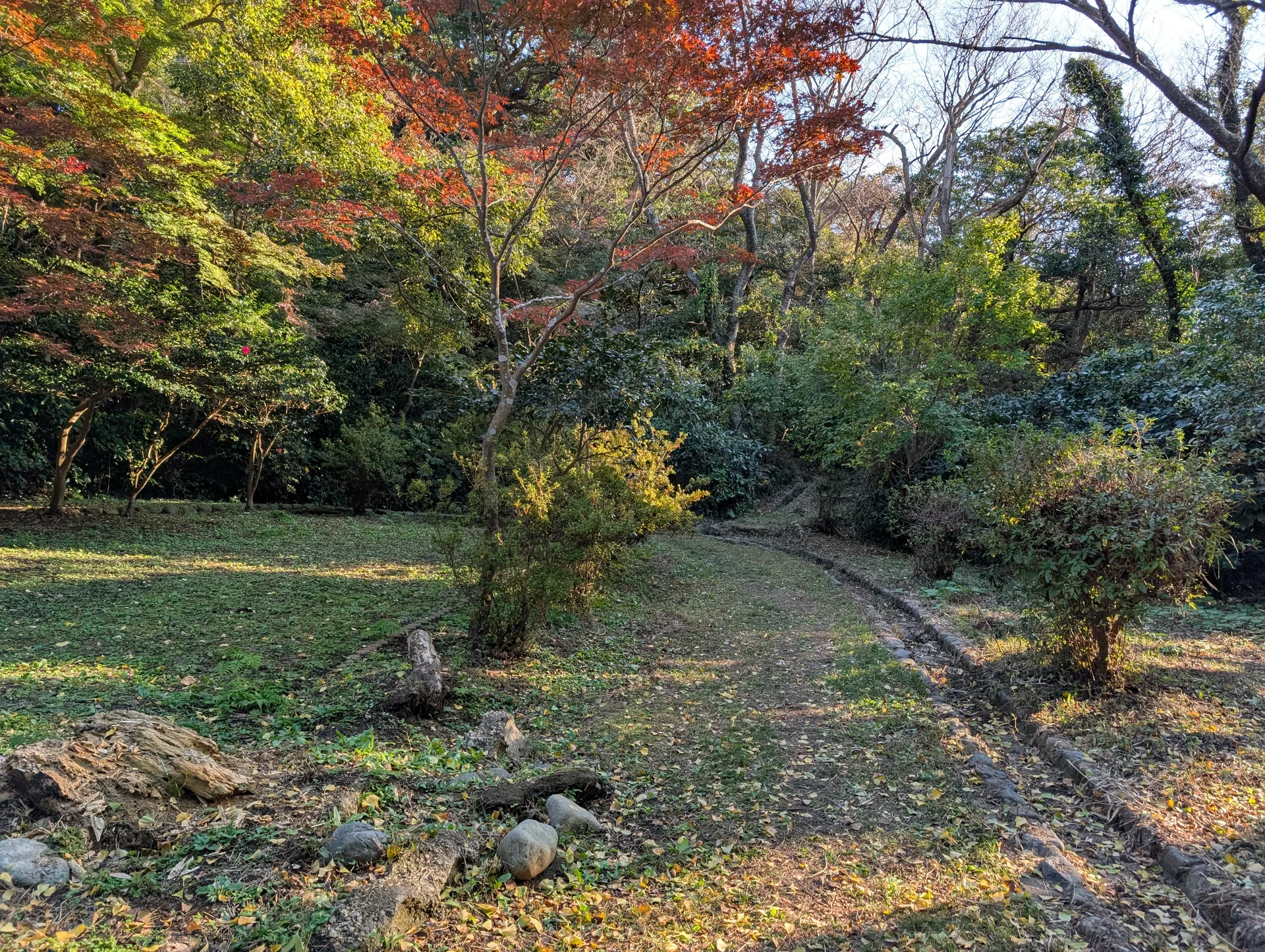 源氏山公園の紅葉