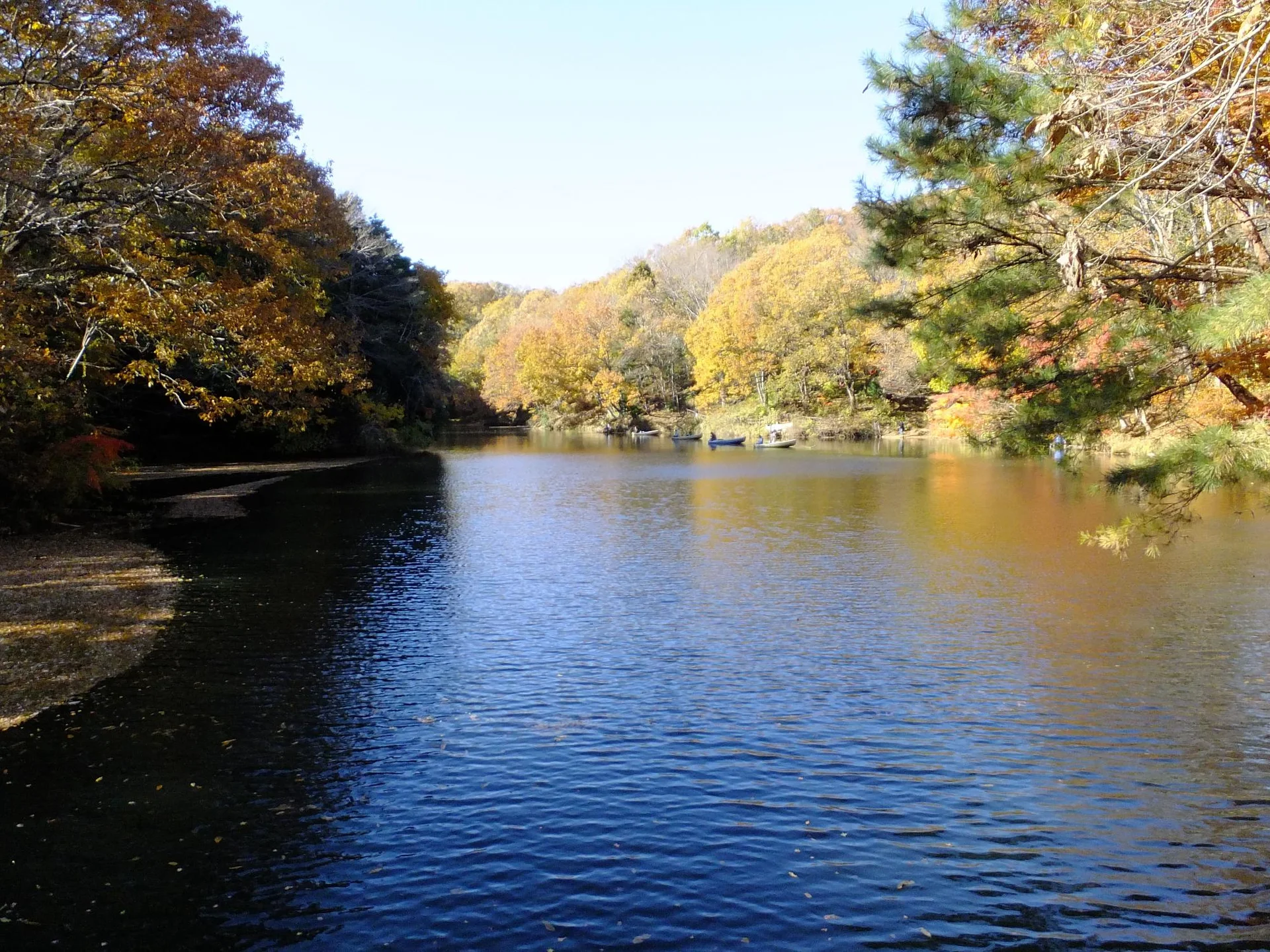 Lake Shinsei