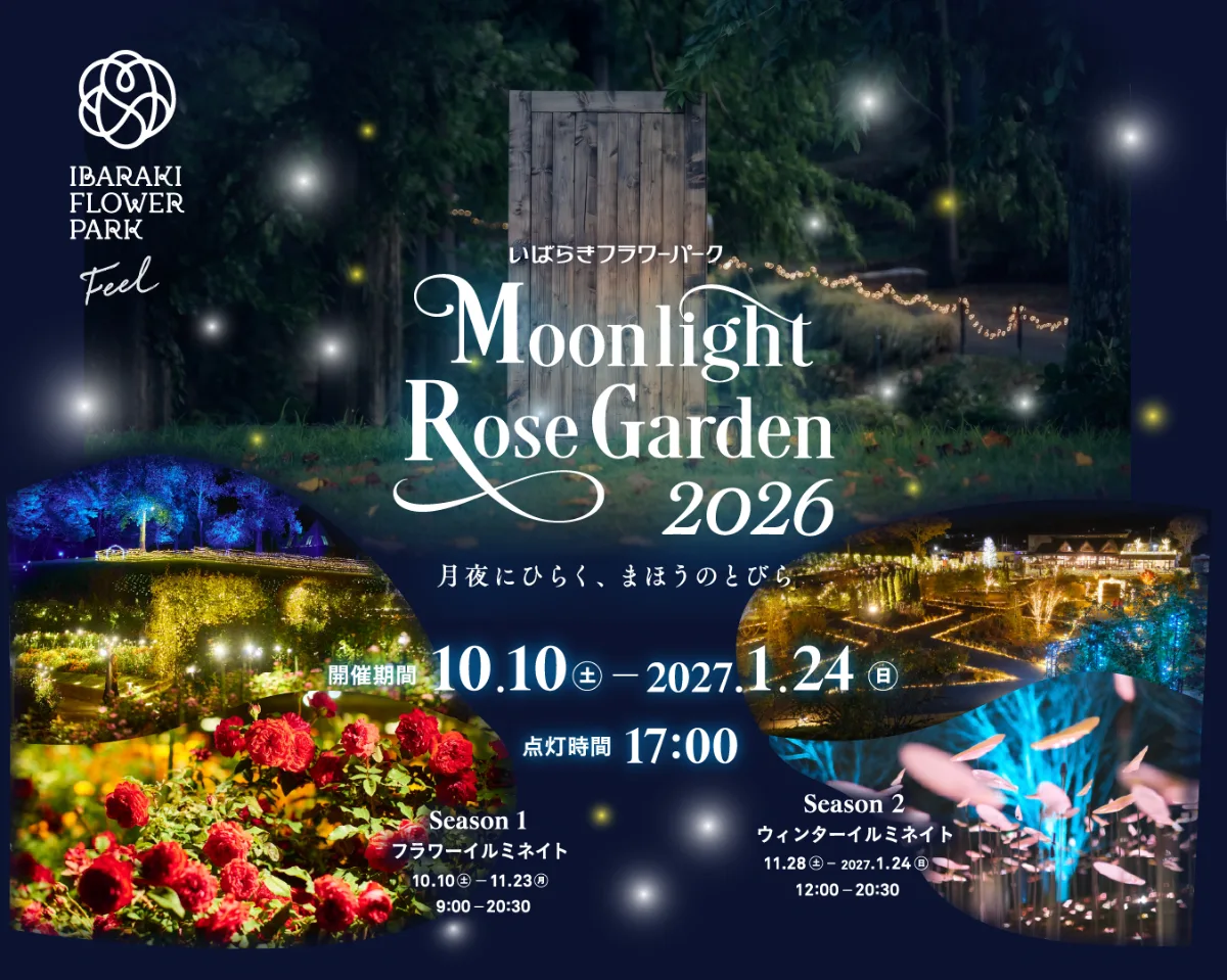 Moonlight Rose Garden2026 Season1 フラワーイルミネイト