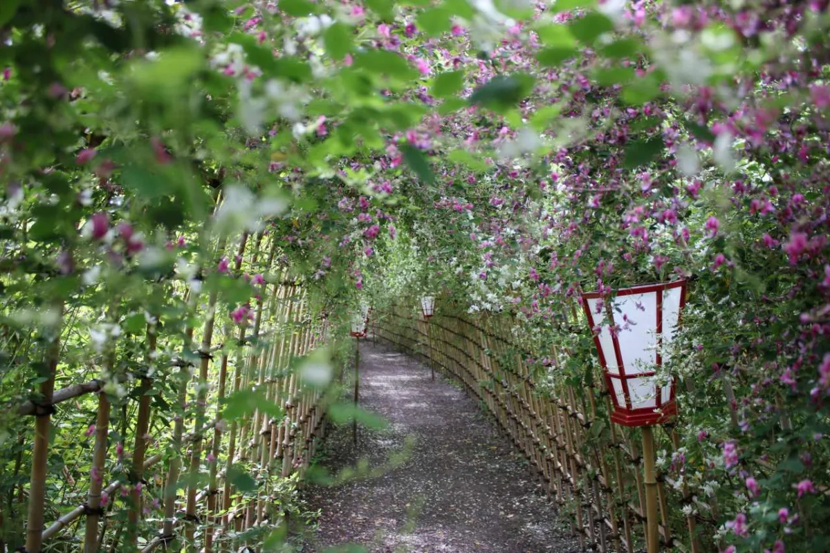 向島百花園 2026年度「萩祭典」