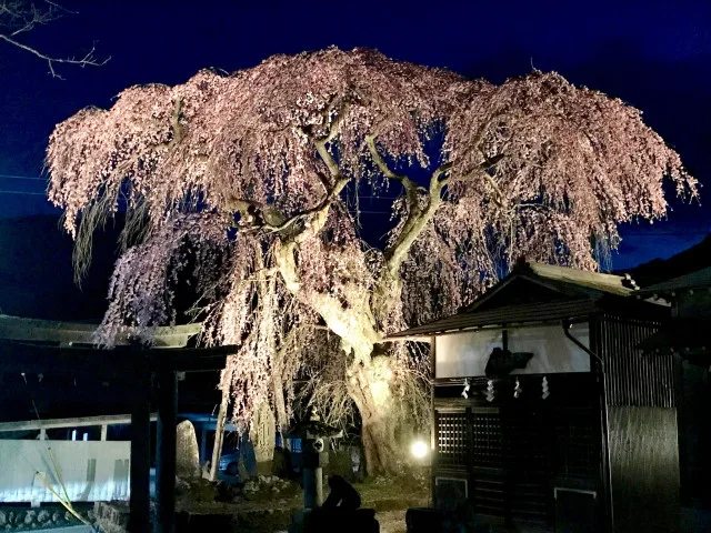 虚空蔵尊 縁日
