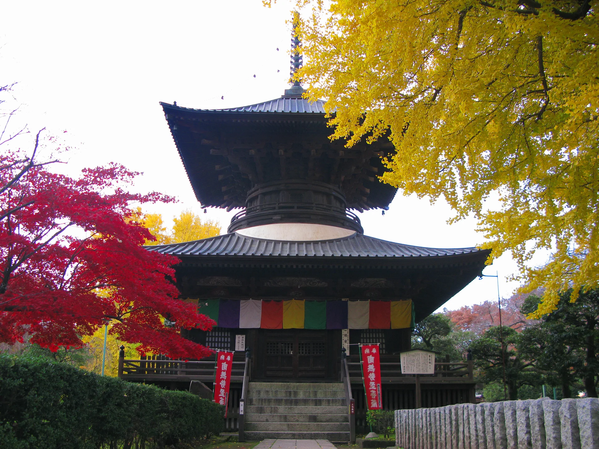 Banna-ji Temple Great Ginkgo