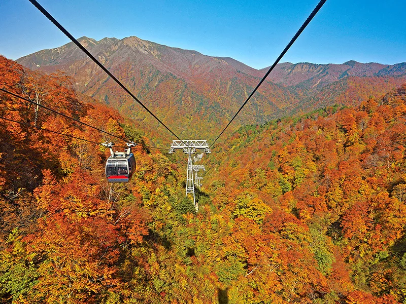 谷川岳ヨッホの紅葉