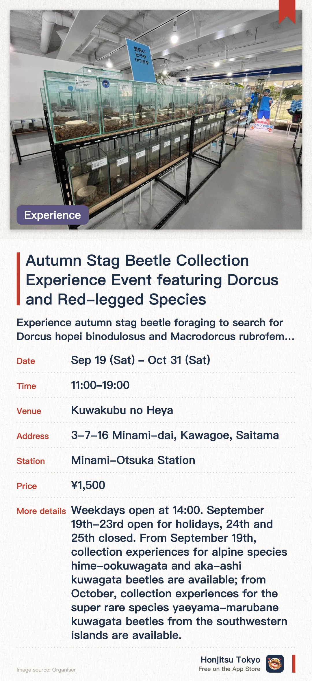 Autumn Stag Beetle Collection Experience Event featuring Dorcus and Red-legged Species. 19 Sep–31 Oct · Kuwakubu no Heya. Experience autumn stag beetle foraging to search for Dorcus hopei binodulosus and Macrodorcus rubrofemoratus. Visit the world's largest stag beetle and rhinoceros beetle exhibition hall to observe the ecology of various rare beetles up close