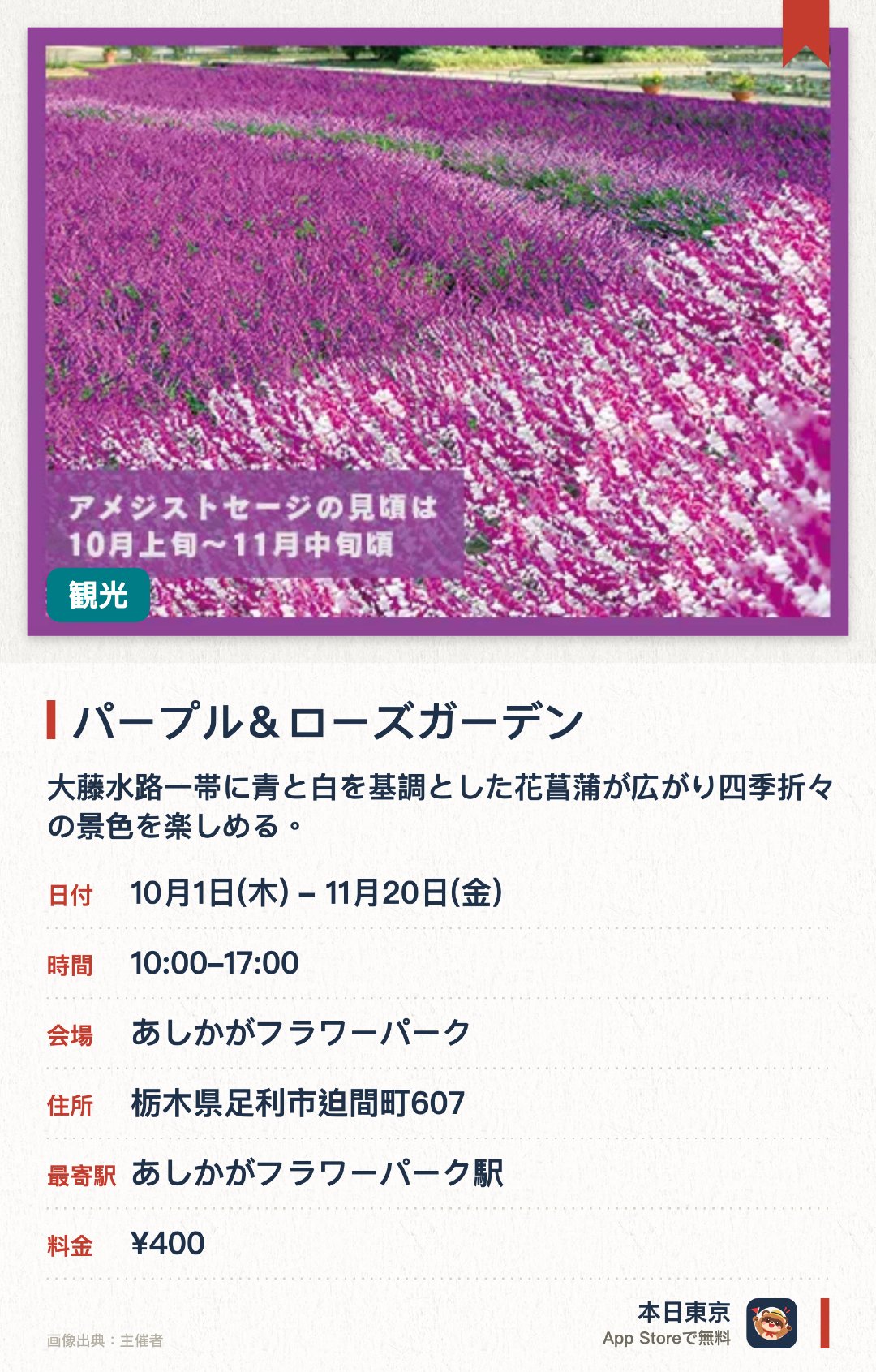 パープル＆ローズガーデン。10月1日–11月20日 · あしかがフラワーパーク。大藤水路一帯に青と白を基調とした花菖蒲が広がり四季折々の景色を楽しめる。多彩な品種の花菖蒲が赤芽柳のステージを彩り特別な栽培方法で長く観賞できる