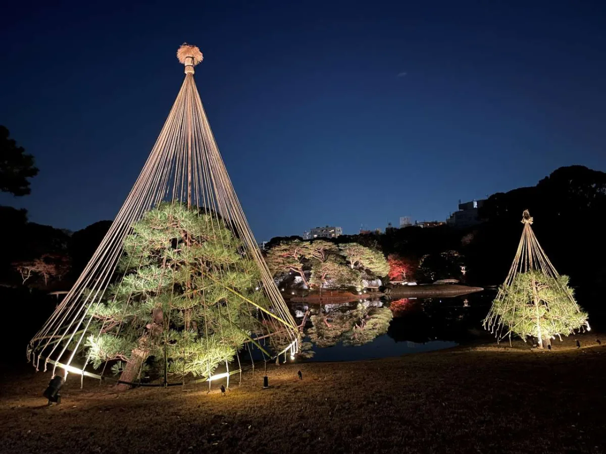 Rikugien Gardens Autumn Leaves Evening Illumination