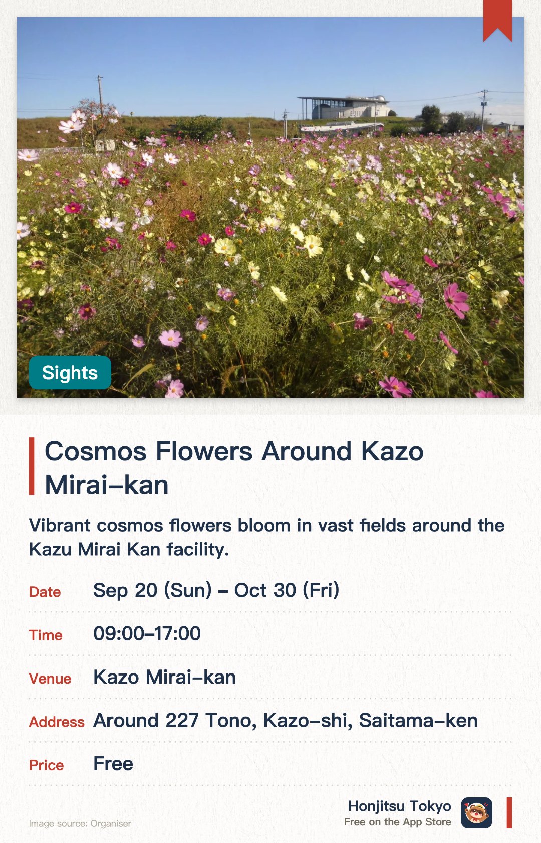 Cosmos Flowers Around Kazo Mirai-kan. 20 Sep–30 Oct · Kazo Mirai-kan. Vibrant cosmos flowers bloom in vast fields around the Kazu Mirai Kan facility. Visitors can enjoy leisurely walks surrounded by the city's official flower in autumn