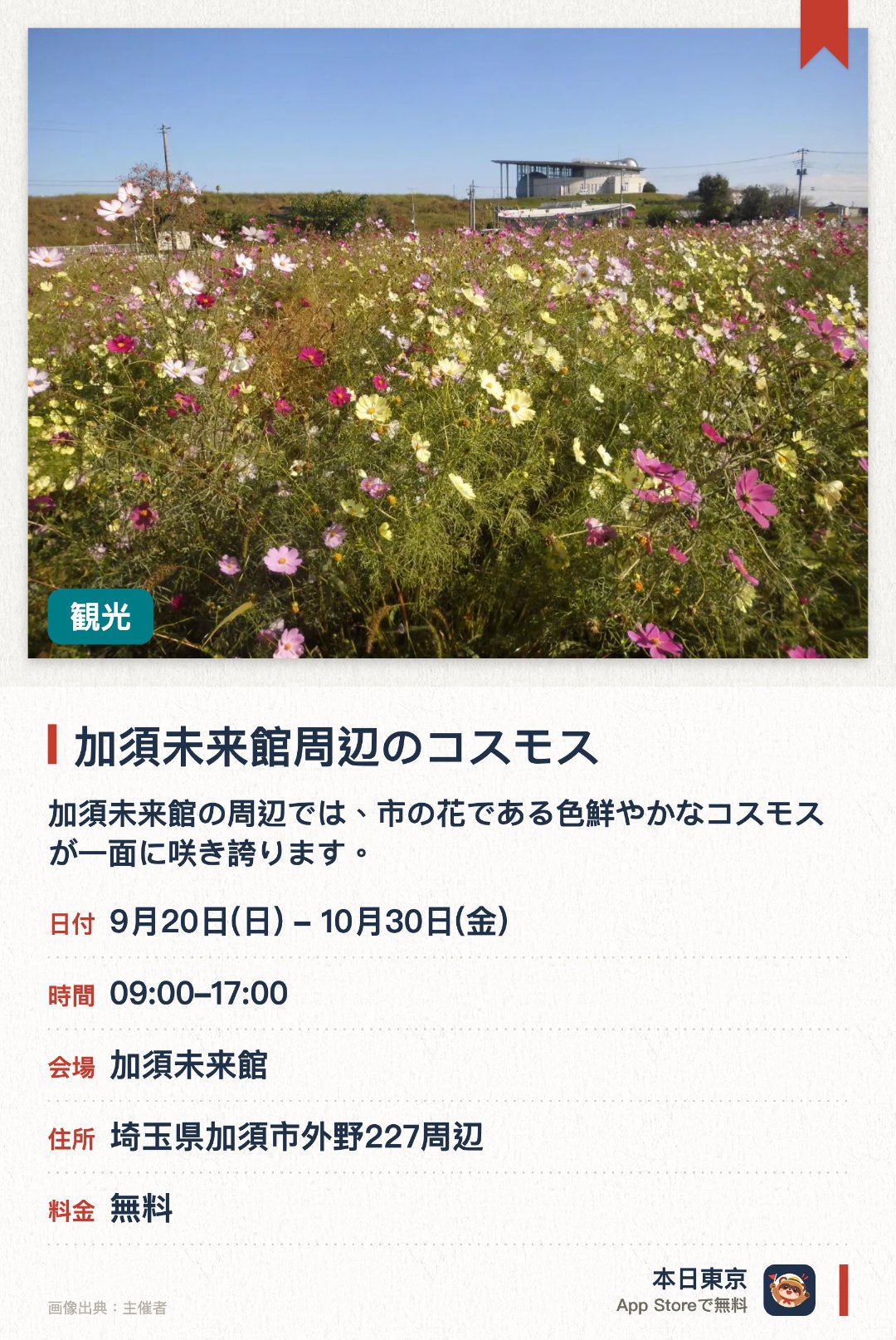 加須未来館周辺のコスモス。9月20日–10月30日 · 加須未来館。加須未来館の周辺では、市の花である色鮮やかなコスモスが一面に咲き誇ります。秋の風物詩である広大な花畑を眺めながら、のんびりと散策を楽しめます