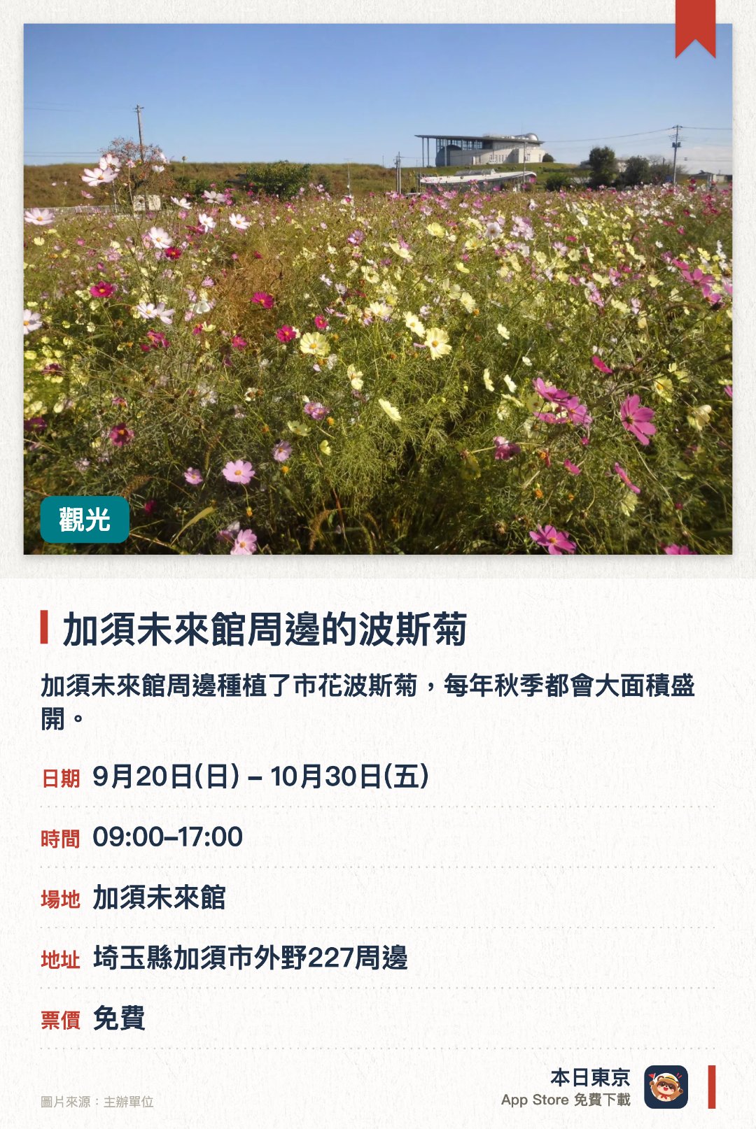 加須未來館周邊的波斯菊。9月20日–10月30日 · 加須未來館。加須未來館周邊種植了市花波斯菊，每年秋季都會大面積盛開。放眼望去一片色彩繽紛的花海，提供遊客漫步欣賞秋日風光