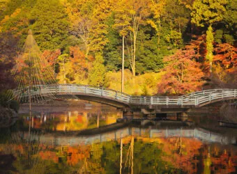 町田藥師池公園四季彩之杜 藥師池