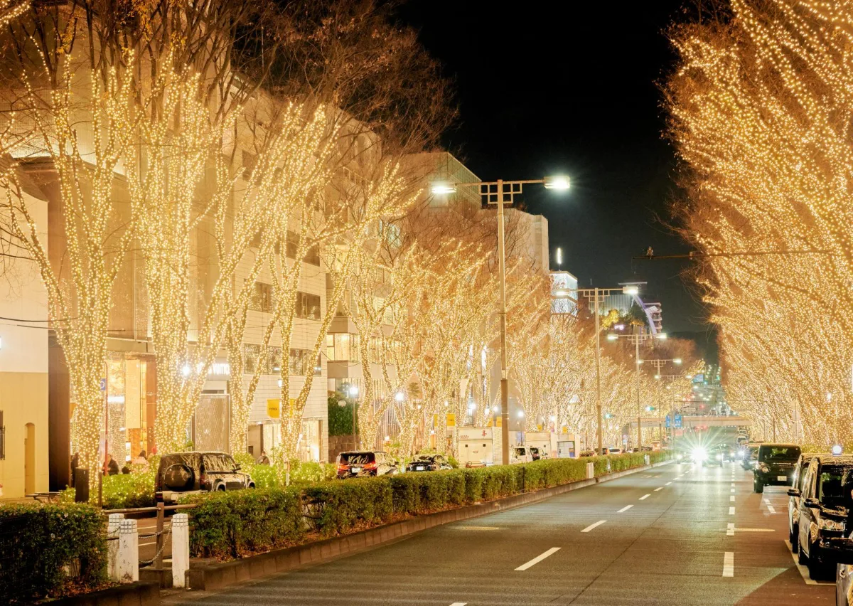 Omotesando Illumination 2026