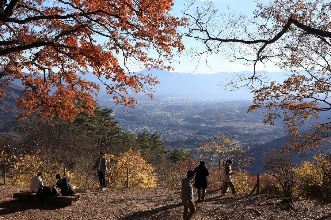 宝登山の紅葉