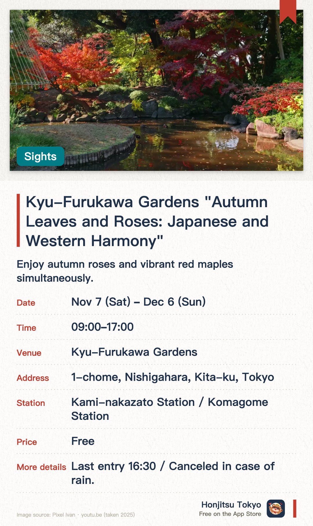 Kyu-Furukawa Gardens "Autumn Leaves and Roses: Japanese and Western Harmony". 7 Nov–6 Dec · Kyu-Furukawa Gardens. Enjoy autumn roses and vibrant red maples simultaneously. Experience the rare blend of Japanese garden landscaping and Western architecture