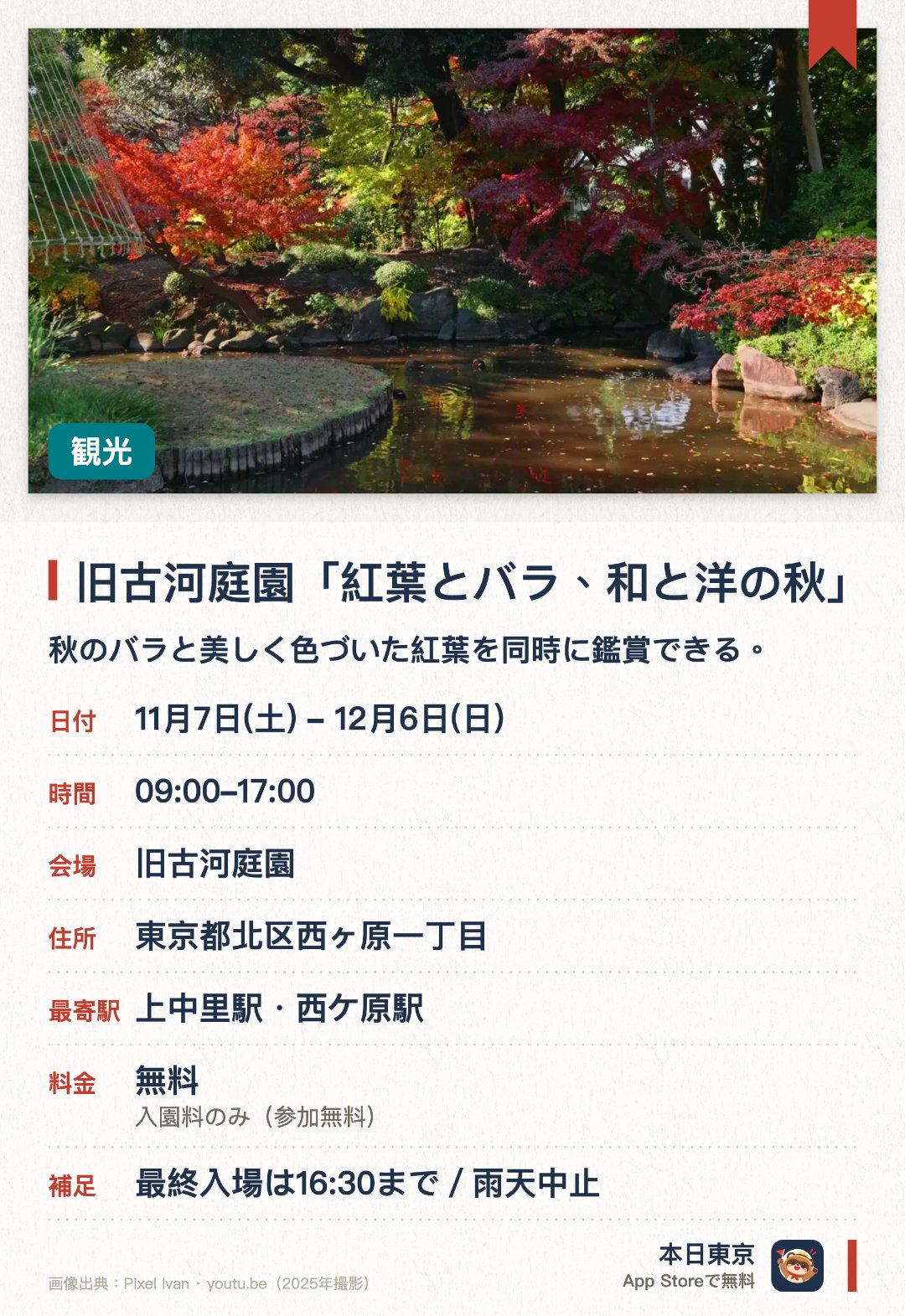 旧古河庭園「紅葉とバラ、和と洋の秋」。11月7日–12月6日 · 旧古河庭園。秋のバラと美しく色づいた紅葉を同時に鑑賞できる。和風庭園と洋館が調和する珍しい景観を楽しめる
