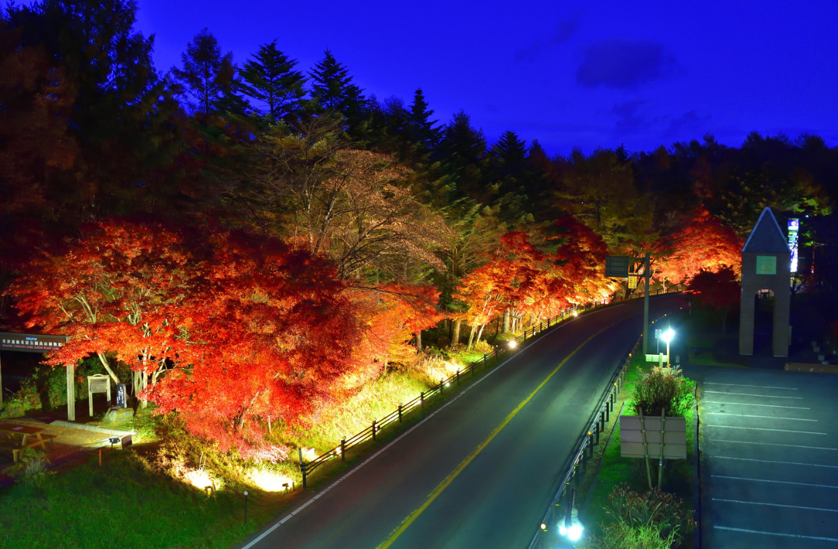 道の駅　草津運動茶屋公園「紅葉ライトアップ」