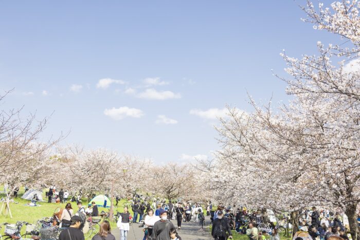 光の祭典2026