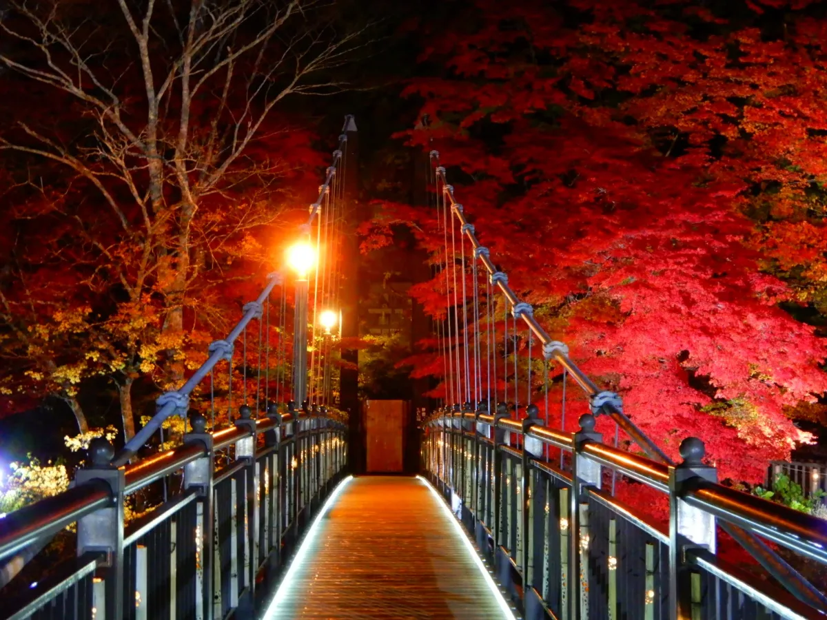 Shiobara Hot Spring Autumn Foliage Illumination