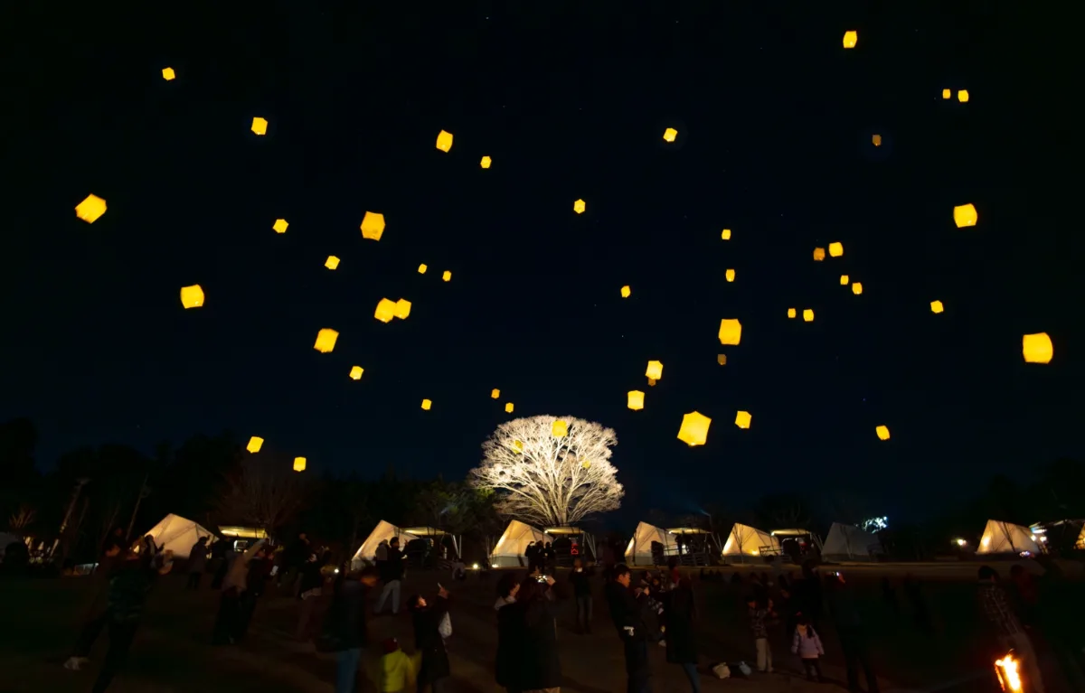 CHIBA LANTERN NIGHT