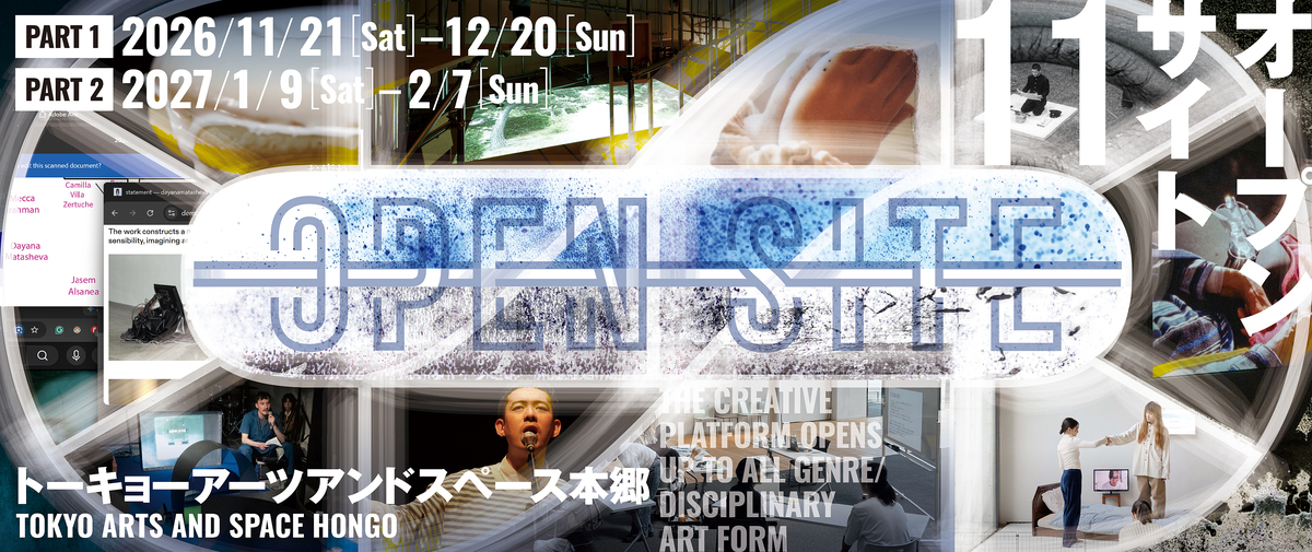 OPEN SITE 11