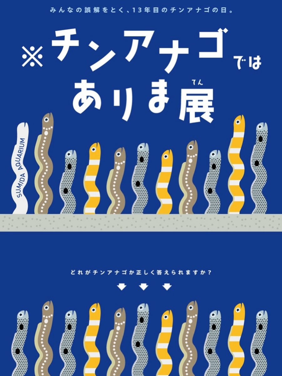 ※チンアナゴではありま展