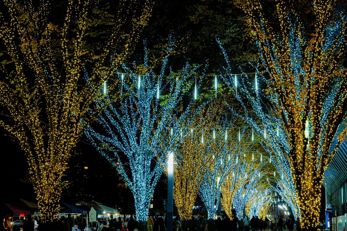 Illumirai INZAI (Inzai City 30th Anniversary)
