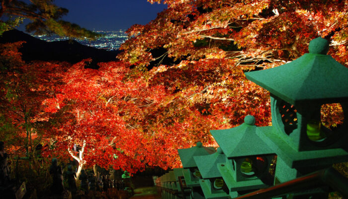 大山紅葉ライトアップ