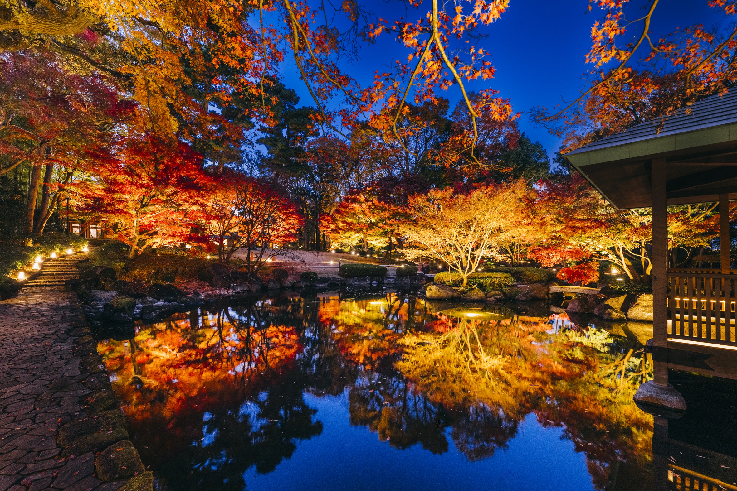 大田黒公園　紅葉ライトアップ