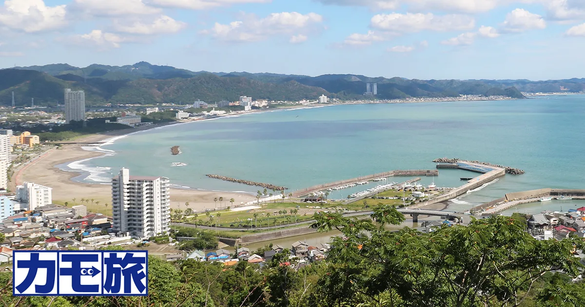 大山千枚田「棚田のあかり」