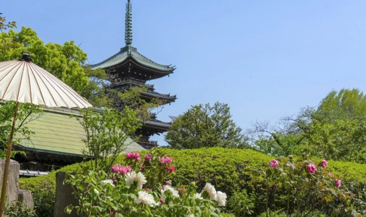 上野東照宮牡丹園 特別祭典　大麗花繽紛秋園