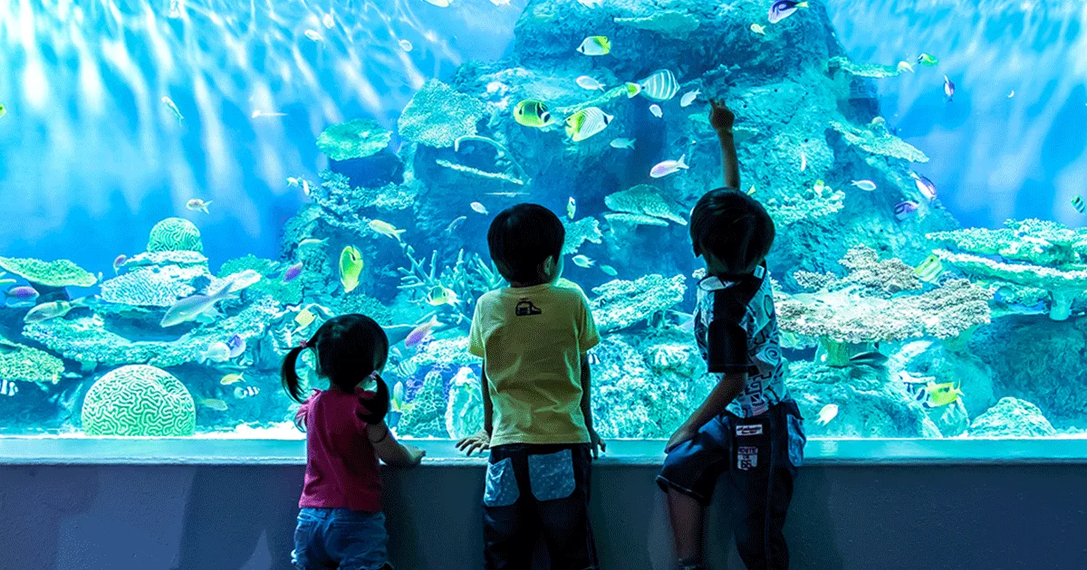 Shinagawa Aquarium 2026 Special Exhibition "Eric Carle and the Colors of Life - Different Colors in the Same World"