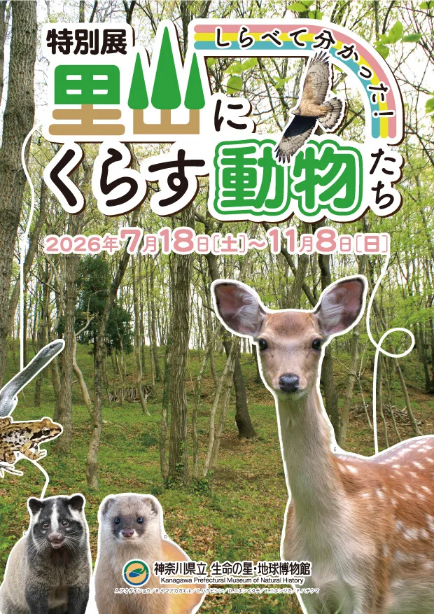 特別展「調查所得！里山棲息的動物們」