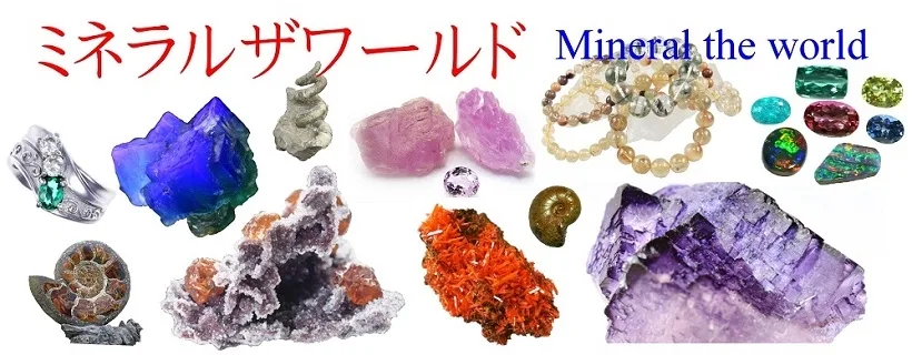 Mineral the World in橫濱2026秋＆Mineral Auction