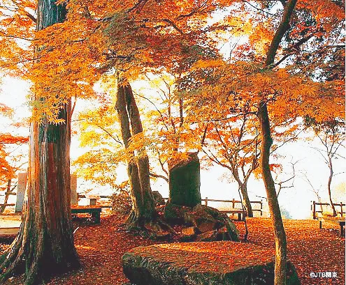 Taiheizan Autumn Foliage Festival