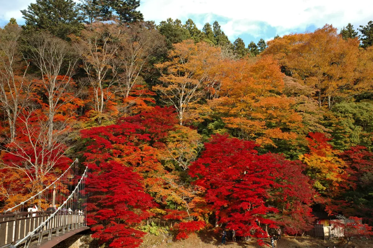 Momijidani Suspension Bridge