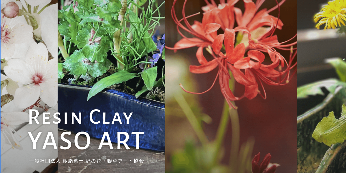 Narita Hoshino Tomihiro Flower Poetry Picture Exhibition