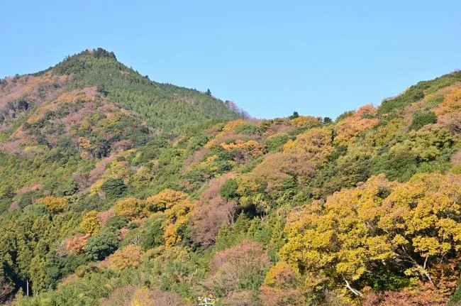 鐘嶽與廣澤寺溫泉周邊