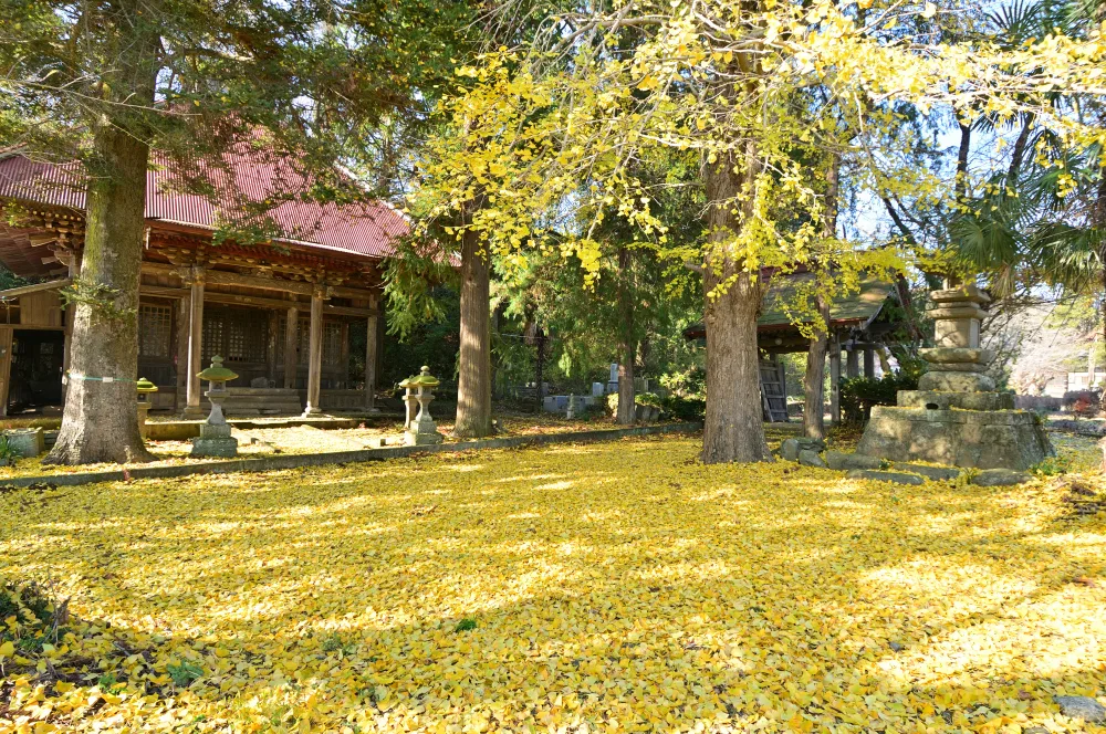 金剛寺大師堂の紅葉