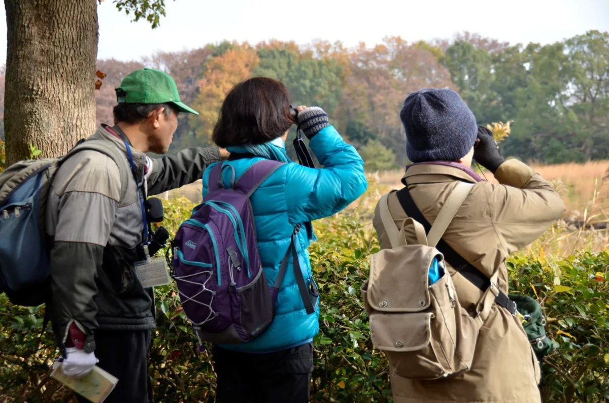 国営昭和記念公園　野鳥観察会（10月）