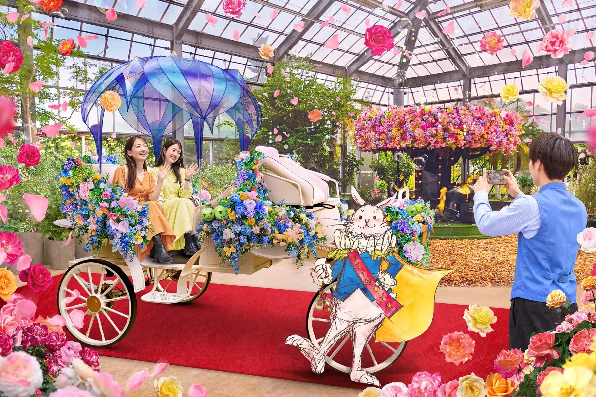 京成バラ園｢白うさぎのロイヤル インビテーション」