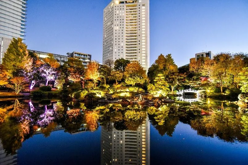 SUMIDA光之夜間花園2026